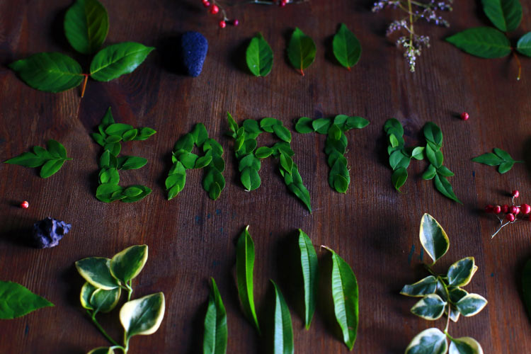 Aerial view of green foliage spelling EARTH on brown counter to encourage an eco-friendly oral care routine on Earth Day